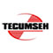 Tecumseh parts